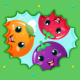 blend-fruits